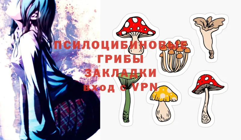 Галлюциногенные грибы Magic Shrooms  MEGA зеркало  Видное 